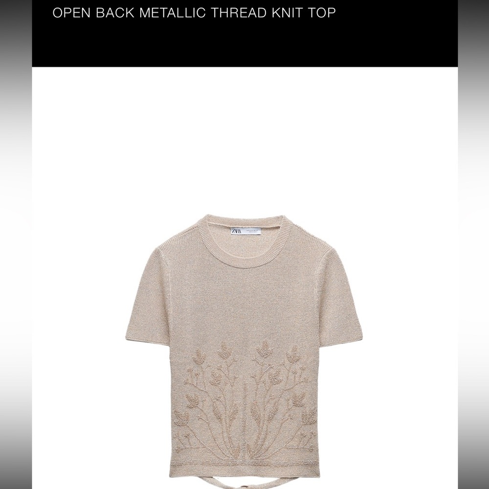 Zara backless top